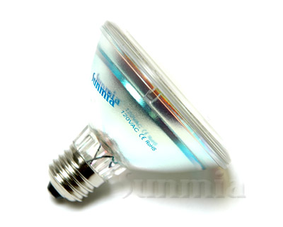 Sunmia 3W/4.5W, 120VAC, PAR30 LED Bulb - Click Image to Close